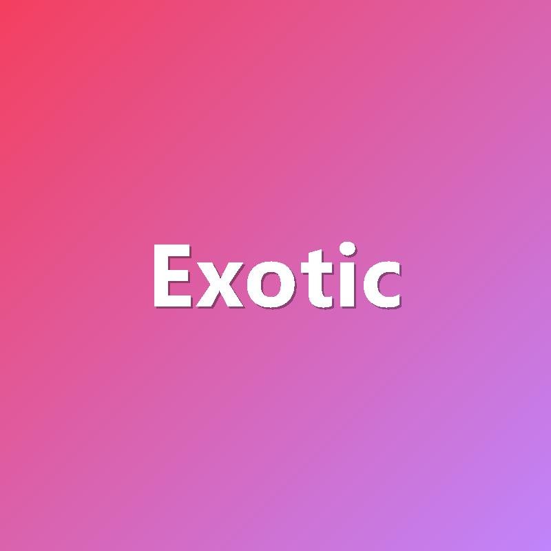 Exotic Performance showcase